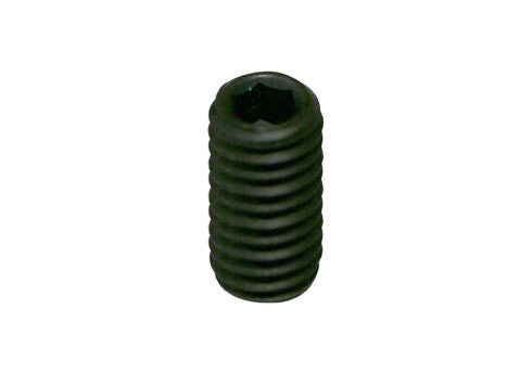 Parolin 950 Caster Grub Screw 5x25